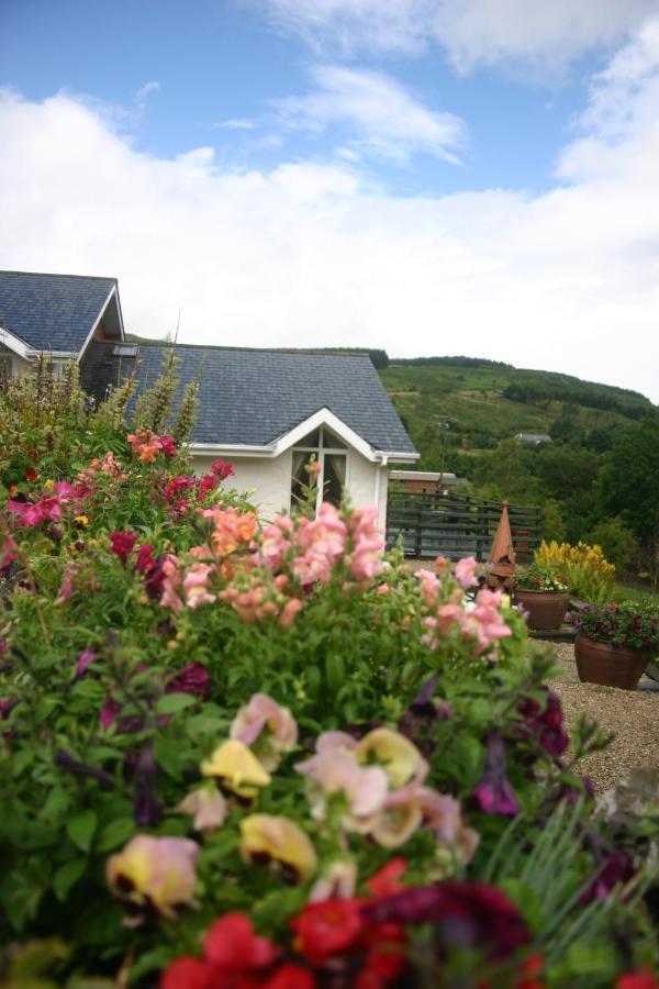 Wicklow Way Lodge Exteriér fotografie